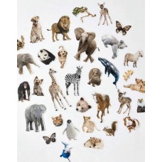Set De 50 Stickers Animales León Safari Aves Zoologico